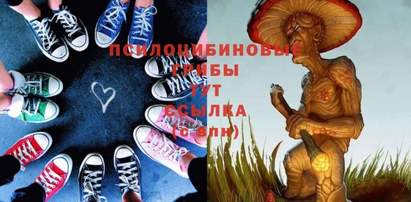 PSILOCYBIN Волоколамск