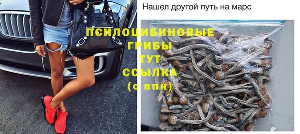 ГАЛЛЮЦИНОГЕННЫЕ ГРИБЫ Верхний Тагил