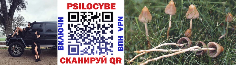 Галлюциногенные грибы GOLDEN TEACHER  Исилькуль 